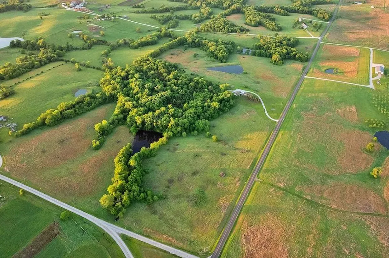 Whitetail Properties listing photo 1 for the Grundy County CRP farm
