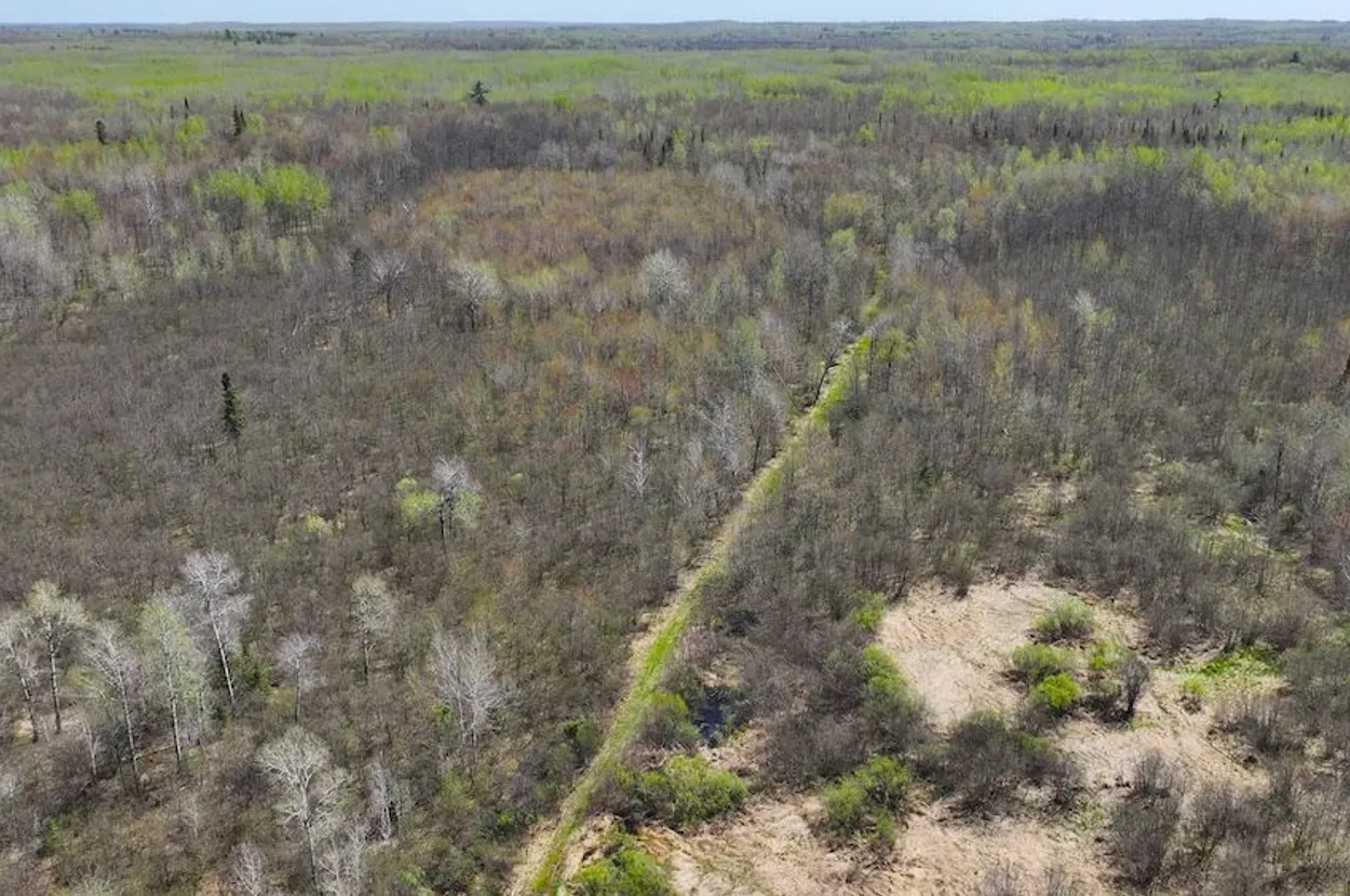 Whitetail listing photo 1 for Douglas County Wisconsin wildland