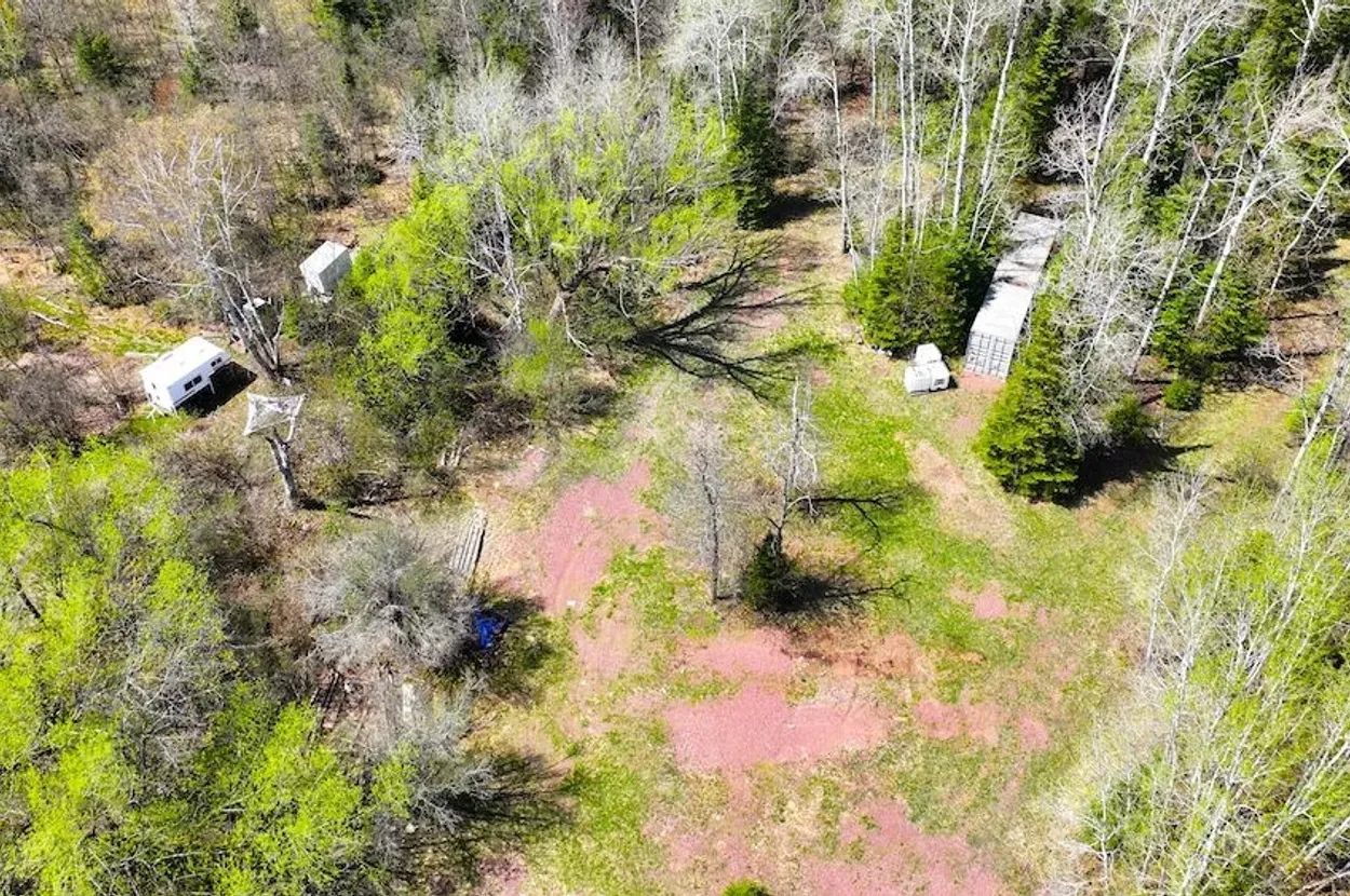 Whitetail listing photo 2 for Douglas County Wisconsin wildland