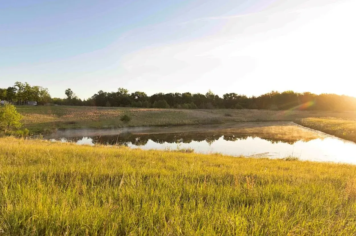 Whitetail Properties listing photo 4 for the Grundy County CRP farm