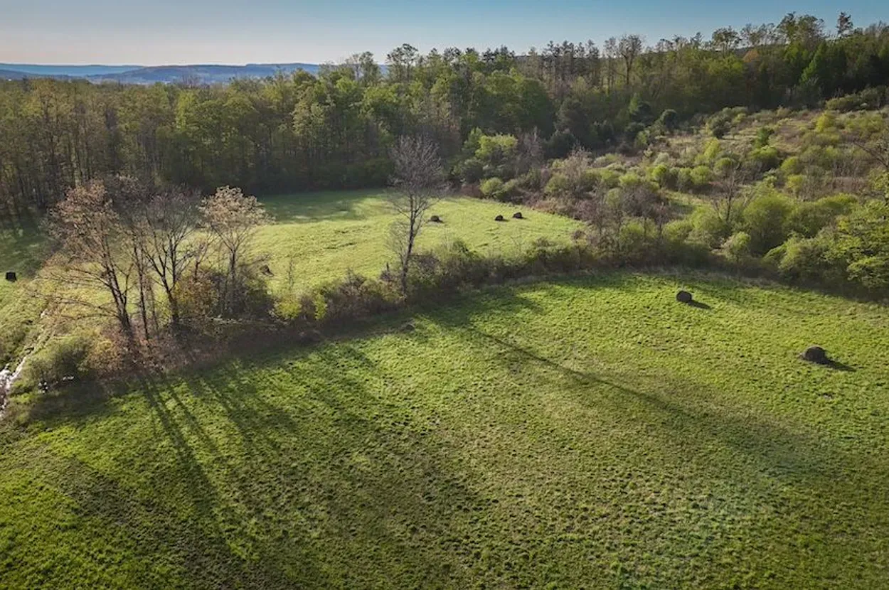 Schuyler County property photo 6
