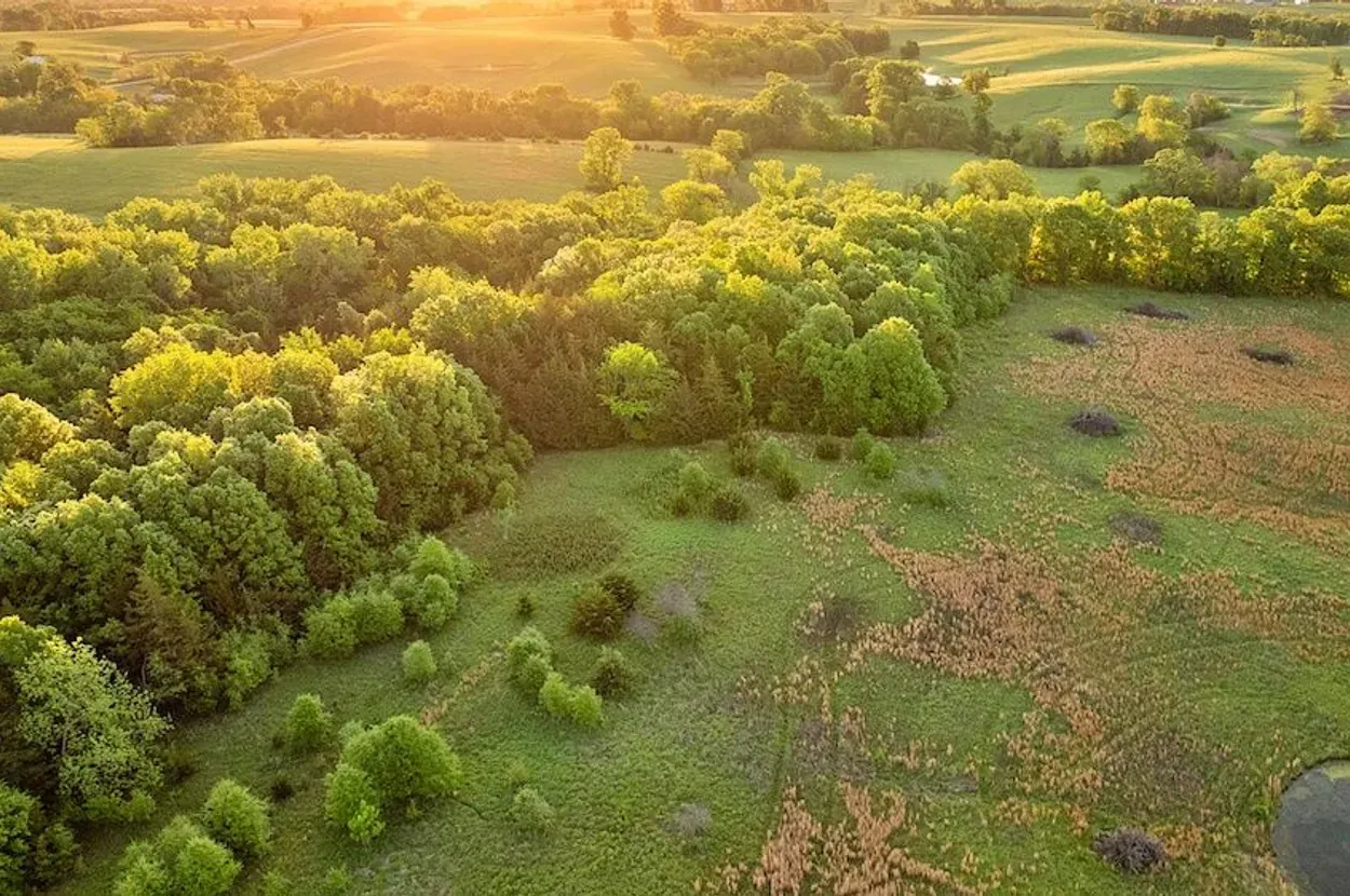 Whitetail Properties listing photo 7 for the Grundy County CRP farm