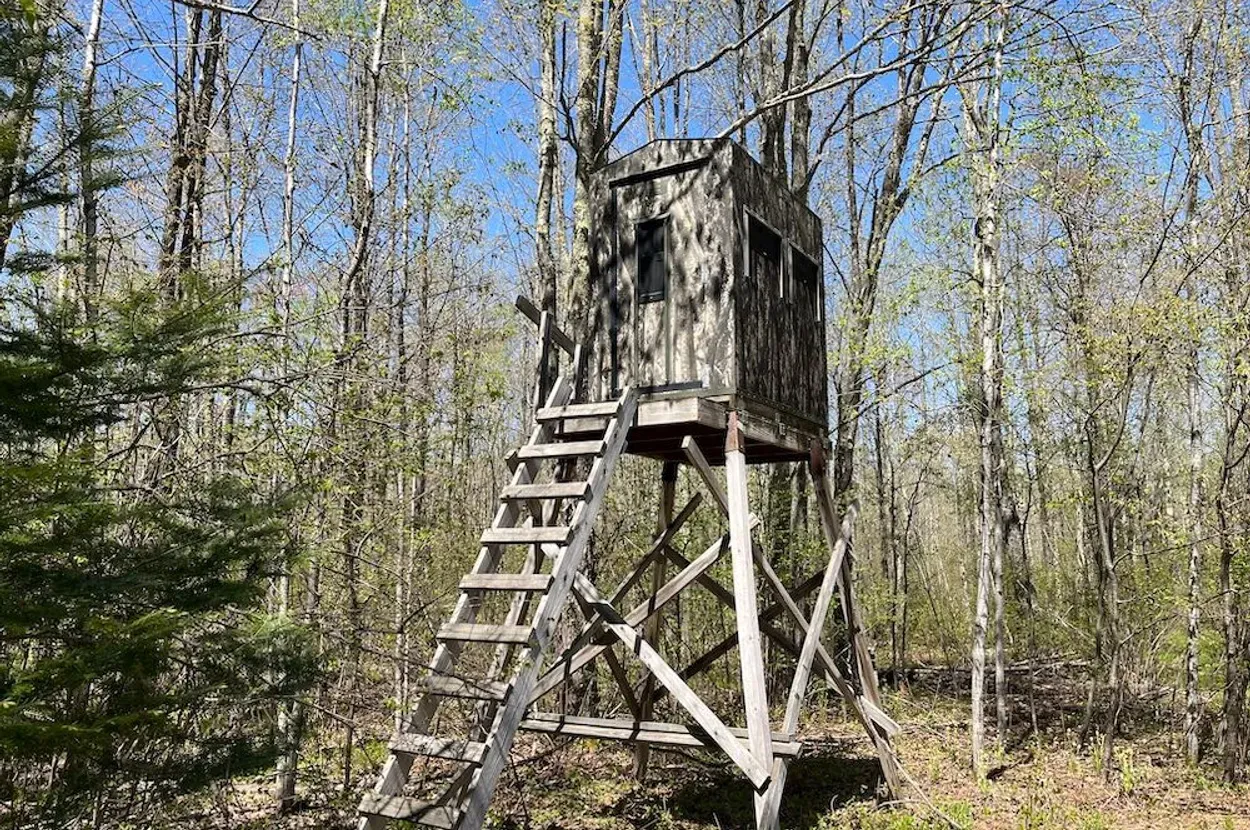Whitetail listing photo 6 for Douglas County Wisconsin wildland