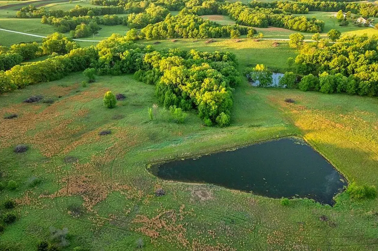 Whitetail Properties listing photo 8 for the Grundy County CRP farm
