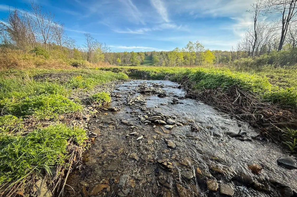 Schuyler County property photo 7