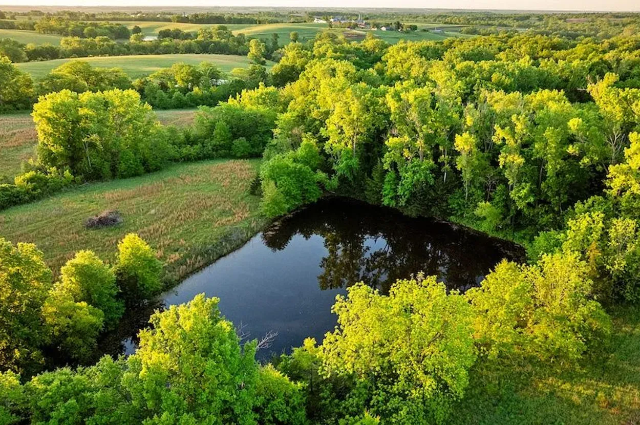 Whitetail Properties listing photo 9 for the Grundy County CRP farm