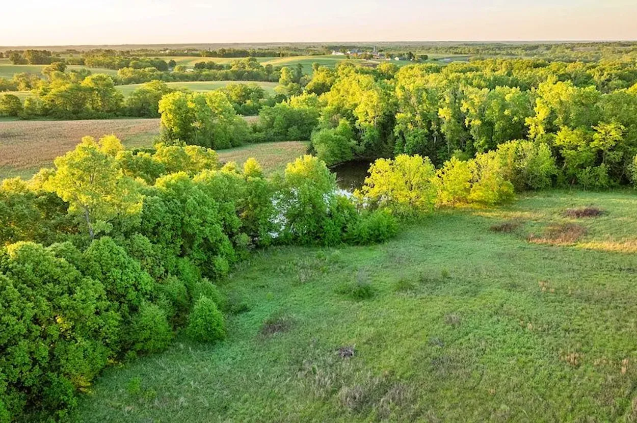 Whitetail Properties listing photo 10 for the Grundy County CRP farm