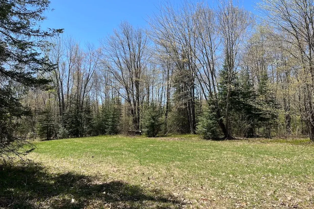 Whitetail listing photo 7 for Douglas County Wisconsin wildland
