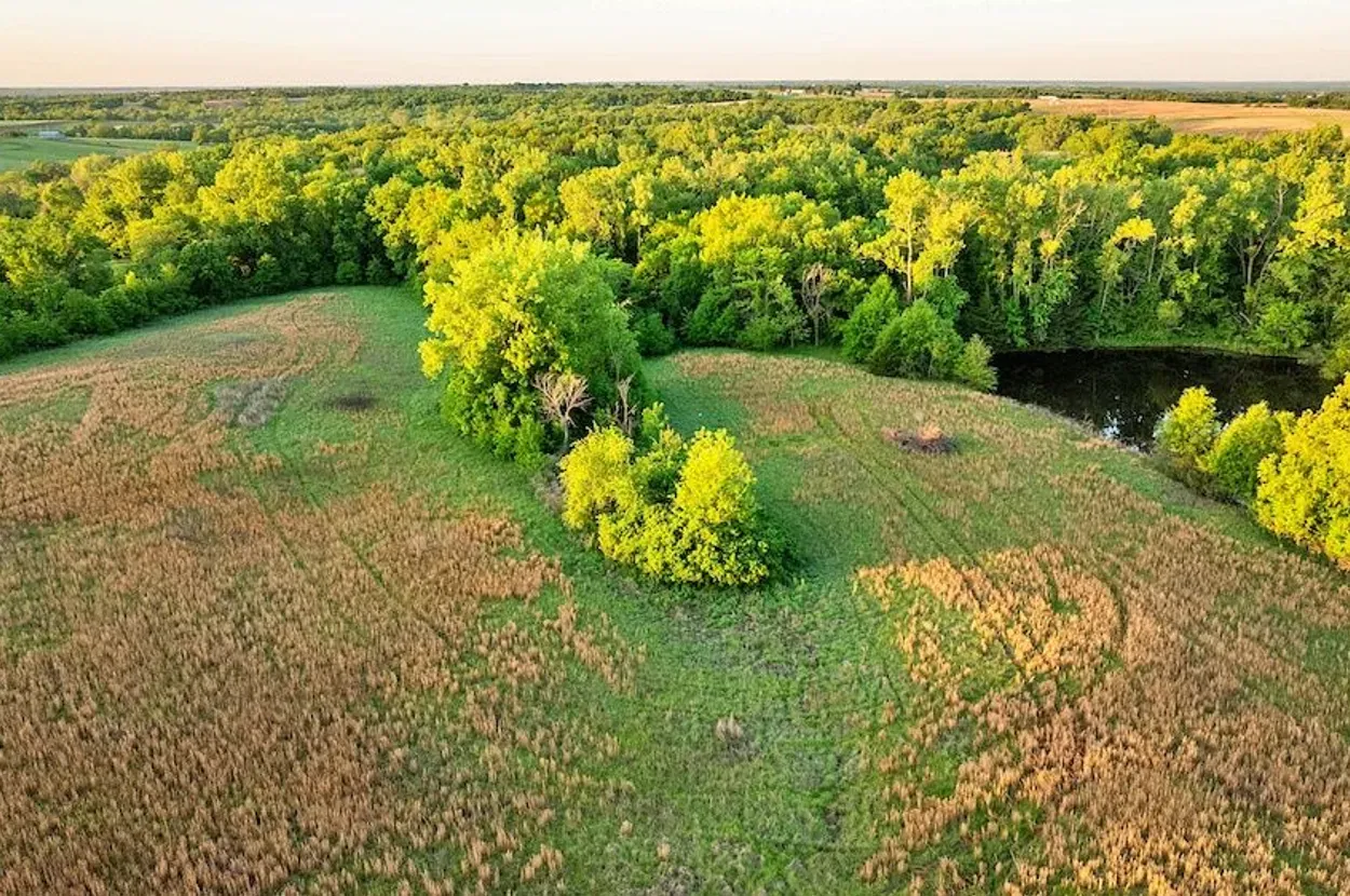 Whitetail Properties listing photo 11 for the Grundy County CRP farm