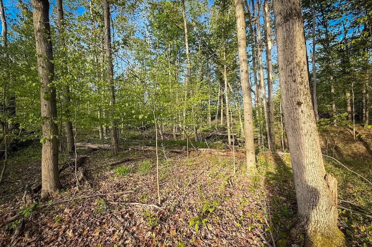Schuyler County property photo 9