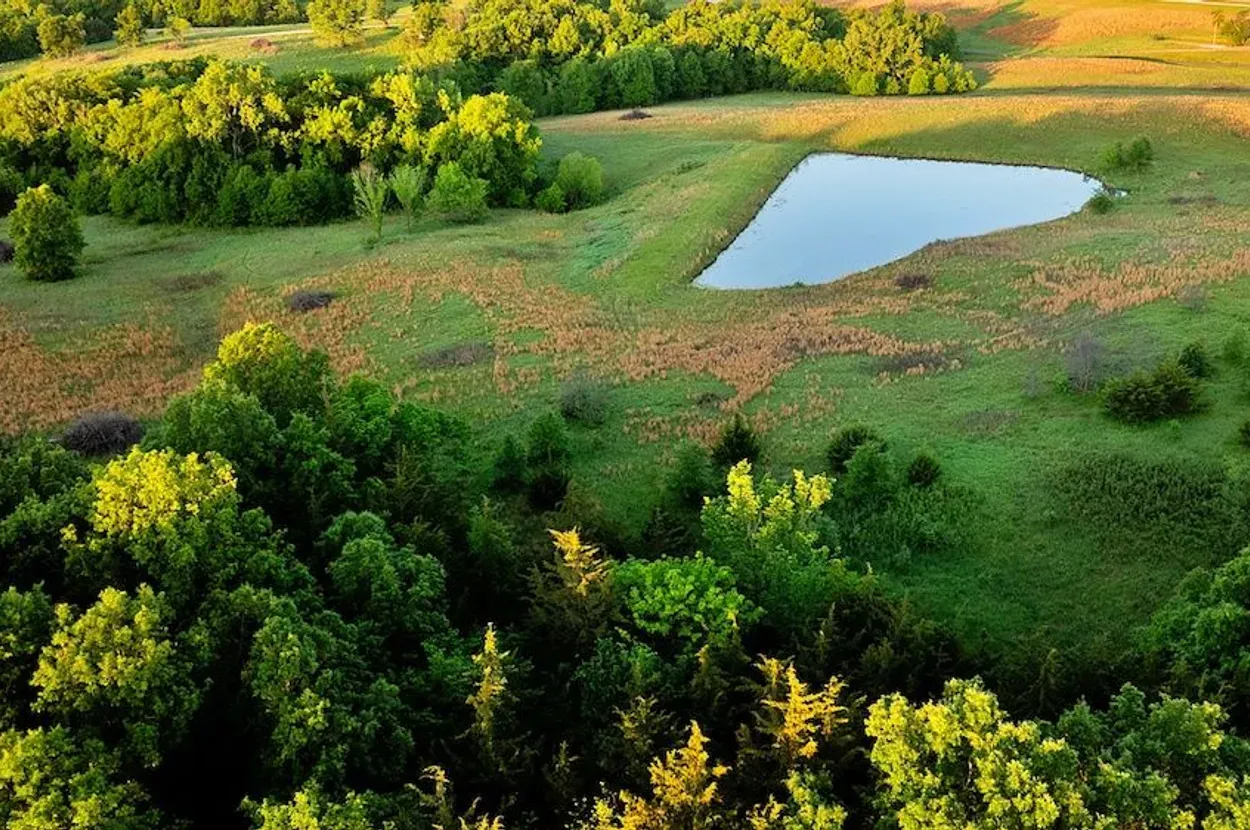 Whitetail Properties listing photo 12 for the Grundy County CRP farm