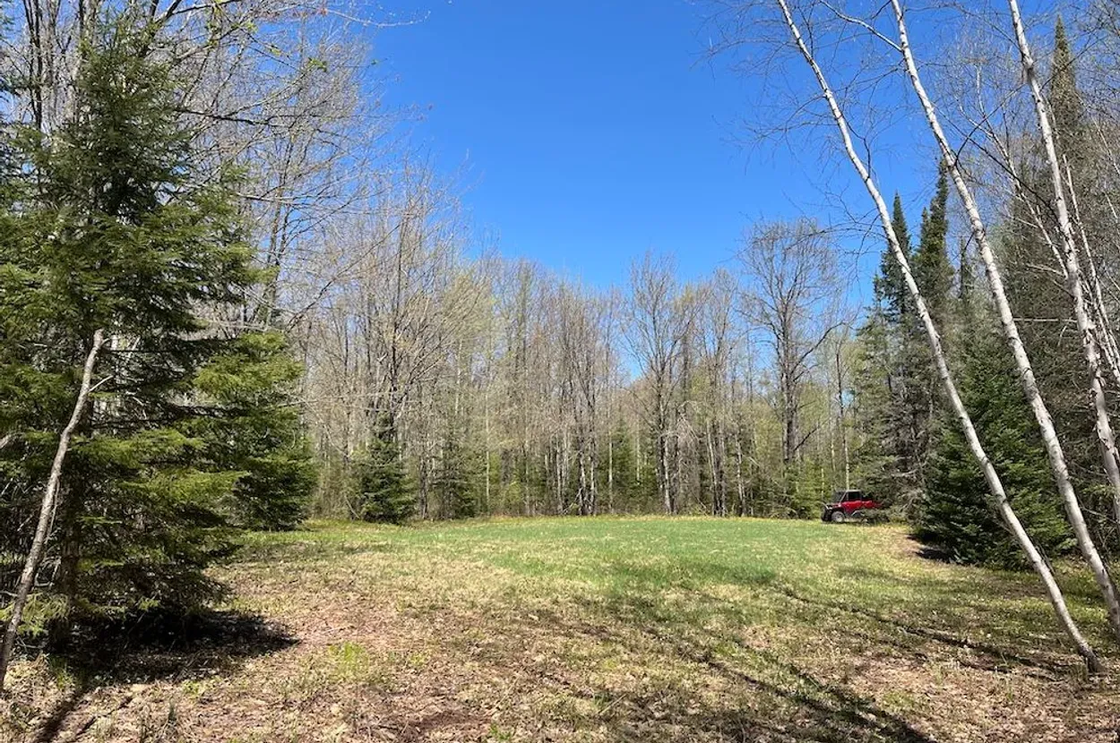 Whitetail listing photo 8 for Douglas County Wisconsin wildland