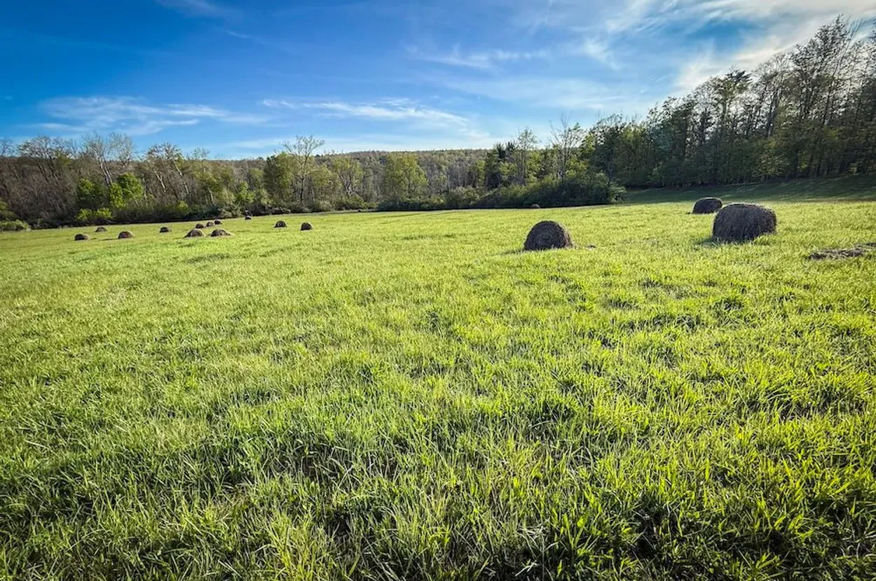 Schuyler County property photo 11