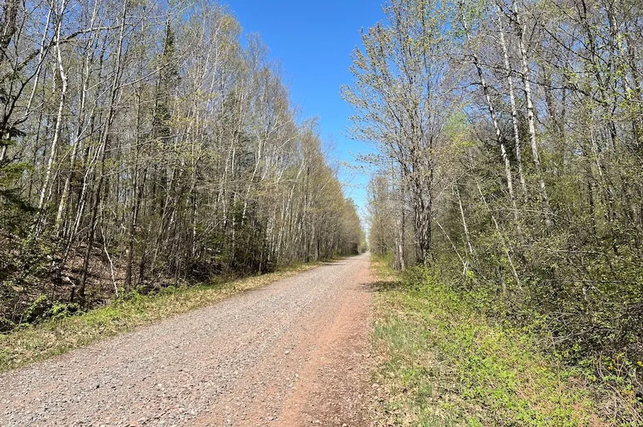 Whitetail listing photo 10 for Douglas County Wisconsin wildland