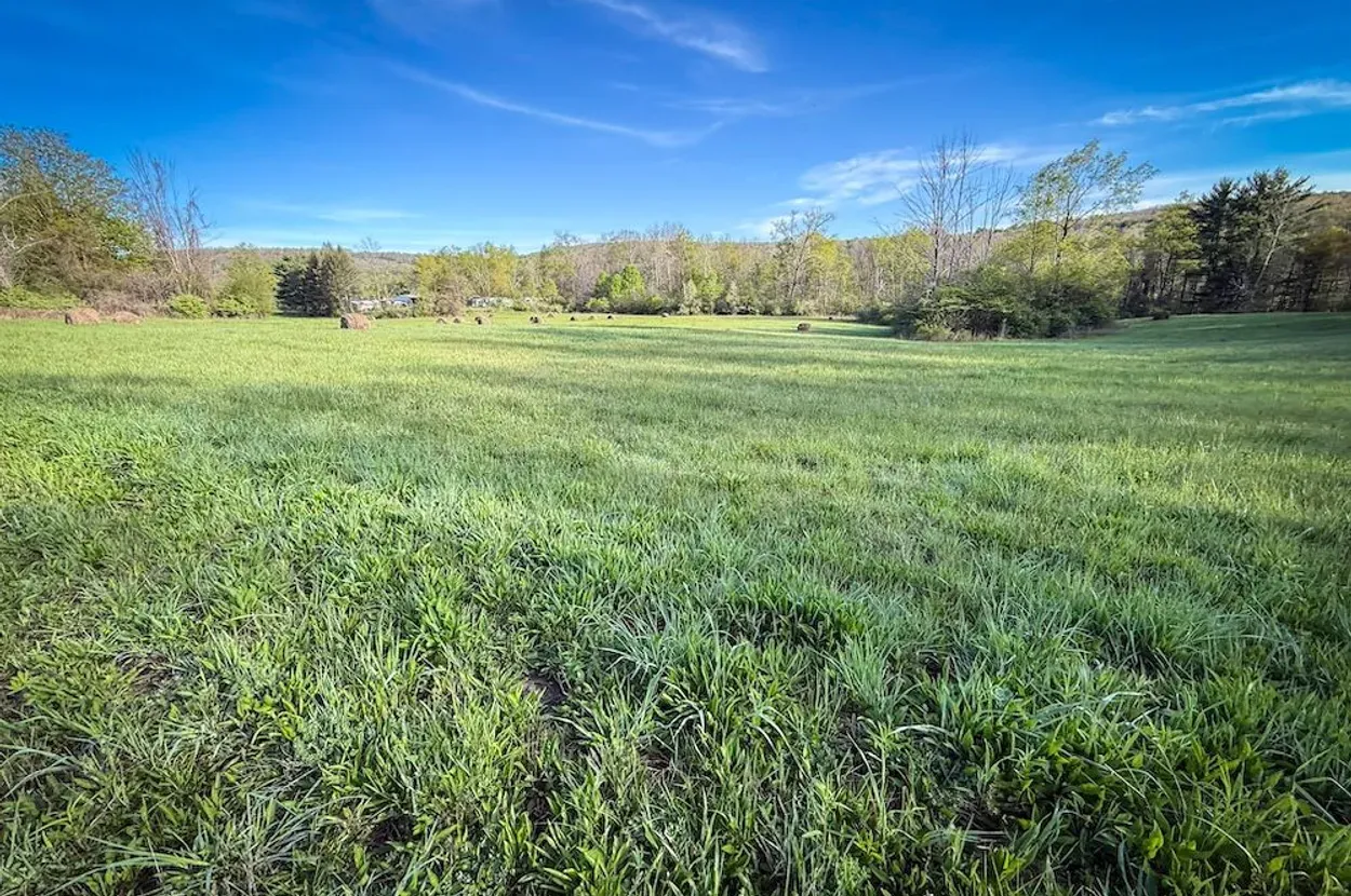 Schuyler County property photo 12