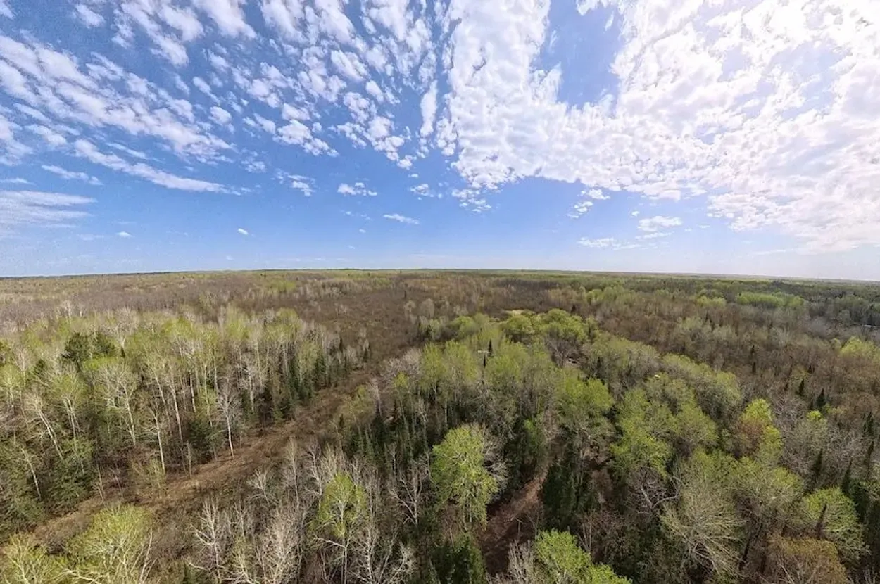 Whitetail listing photo 11 for Douglas County Wisconsin wildland