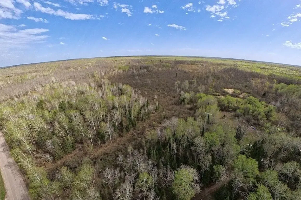 Whitetail listing photo 12 for Douglas County Wisconsin wildland